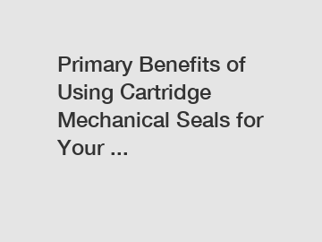 Primary Benefits of Using Cartridge Mechanical Seals for Your ...