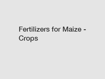 Fertilizers for Maize - Crops
