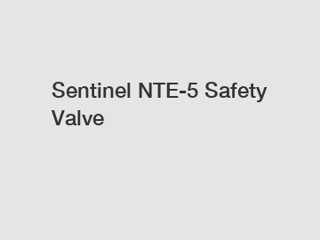Sentinel NTE-5 Safety Valve