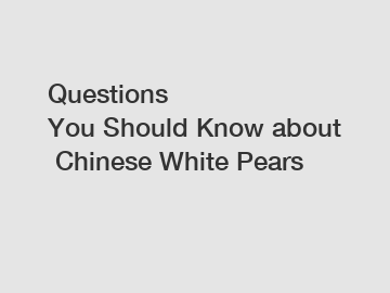 Questions You Should Know about Chinese White Pears