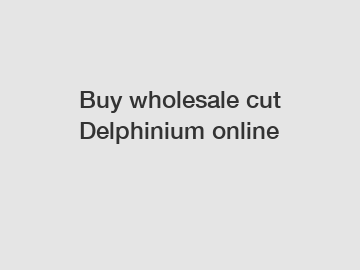 Buy wholesale cut Delphinium online