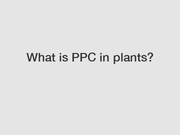 What is PPC in plants?