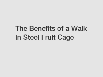 The Benefits of a Walk in Steel Fruit Cage