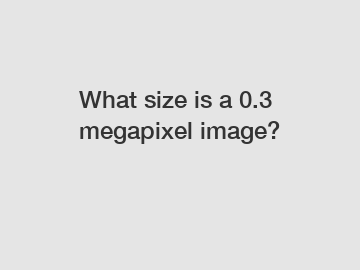 What size is a 0.3 megapixel image?