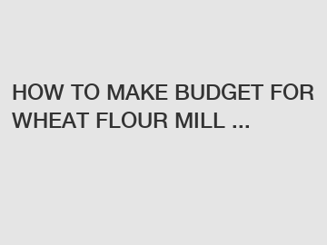 HOW TO MAKE BUDGET FOR WHEAT FLOUR MILL ...