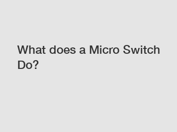 What does a Micro Switch Do?