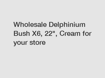 Wholesale Delphinium Bush X6, 22", Cream for your store