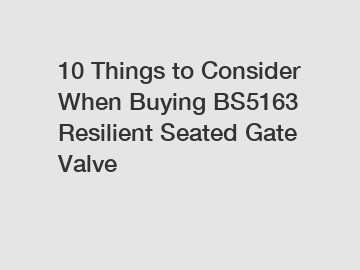 10 Things to Consider When Buying BS5163 Resilient Seated Gate Valve