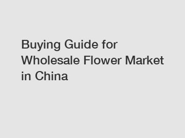 Buying Guide for Wholesale Flower Market in China