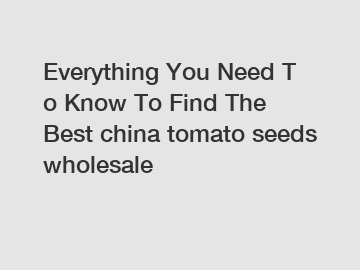 Everything&nbsp;You&nbsp;Need&nbsp;To&nbsp;Know&nbsp;To&nbsp;Find&nbsp;The&nbsp;Best&nbsp;china tomato seeds wholesale