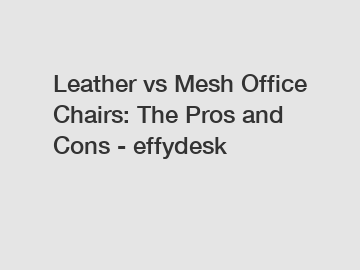 Leather vs Mesh Office Chairs: The Pros and Cons - effydesk