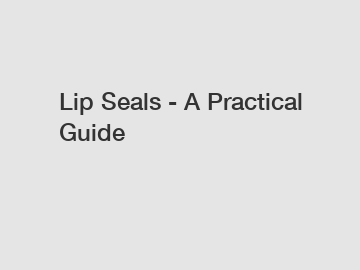 Lip Seals - A Practical Guide