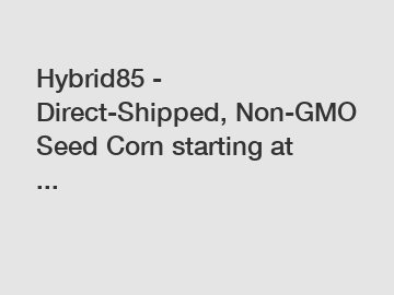 Hybrid85 - Direct-Shipped, Non-GMO Seed Corn starting at ...