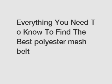 Everything You Need To Know To Find The Best polyester mesh belt
