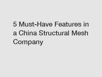 5 Must-Have Features in a China Structural Mesh Company