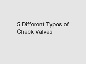 5 Different Types of Check Valves