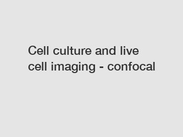 Cell culture and live cell imaging - confocal