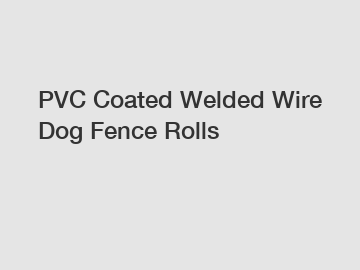 PVC Coated Welded Wire Dog Fence Rolls