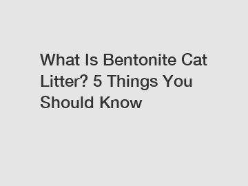 What Is Bentonite Cat Litter? 5 Things You Should Know