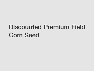 Discounted Premium Field Corn Seed