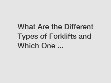 What Are the Different Types of Forklifts and Which One ...