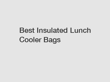 Best Insulated Lunch Cooler Bags