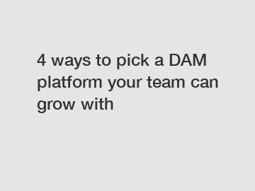 4 ways to pick a DAM platform your team can grow with