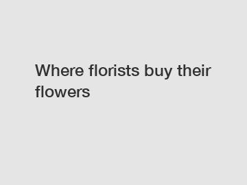 Where florists buy their flowers