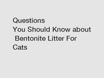 Questions You&nbsp;Should&nbsp;Know&nbsp;about&nbsp;Bentonite Litter For Cats