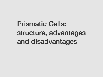 Prismatic Cells: structure, advantages and disadvantages