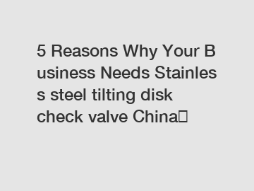 5&nbsp;Reasons&nbsp;Why&nbsp;Your&nbsp;Business&nbsp;Needs&nbsp;Stainless steel tilting disk check valve China？