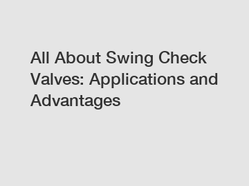 All About Swing Check Valves: Applications and Advantages
