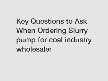 Key Questions to Ask When Ordering Slurry pump for coal industry wholesaler