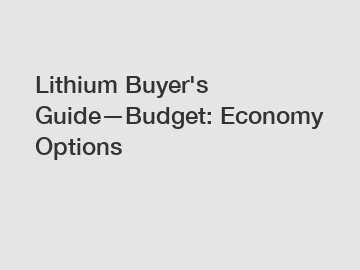 Lithium Buyer's Guide—Budget: Economy Options