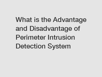 What is the Advantage and Disadvantage of  Perimeter Intrusion Detection System