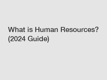 What is Human Resources? (2024 Guide)