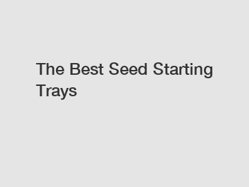 The Best Seed Starting Trays