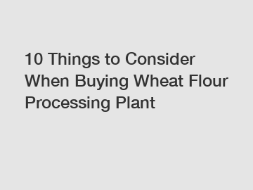 10 Things to Consider When Buying Wheat Flour Processing Plant