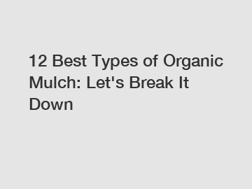 12 Best Types of Organic Mulch: Let's Break It Down