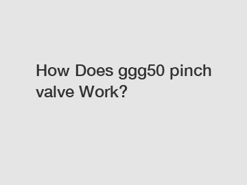 How Does ggg50 pinch valve Work?