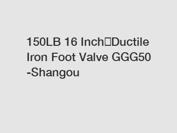 150LB 16 Inch，Ductile Iron Foot Valve GGG50 -Shangou