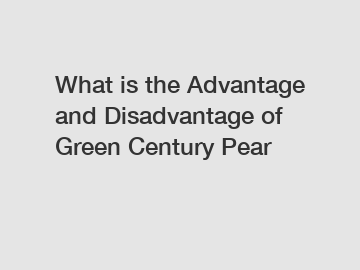 What is the Advantage and Disadvantage of  Green Century Pear