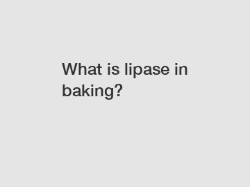 What is lipase in baking?