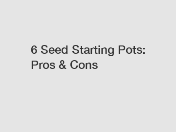 6 Seed Starting Pots: Pros & Cons
