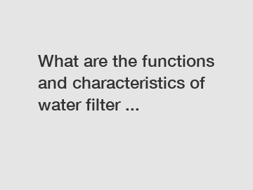 What are the functions and characteristics of water filter ...