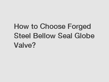 How to Choose Forged Steel Bellow Seal Globe Valve?