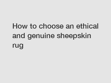 How to choose an ethical and genuine sheepskin rug