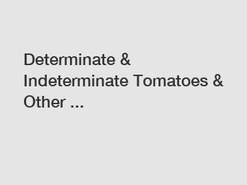 Determinate & Indeterminate Tomatoes & Other ...