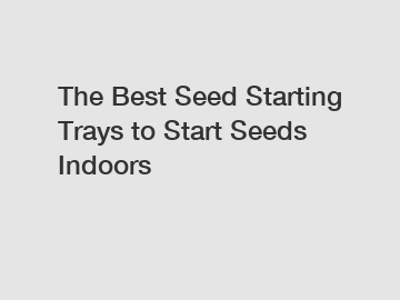 The Best Seed Starting Trays to Start Seeds Indoors