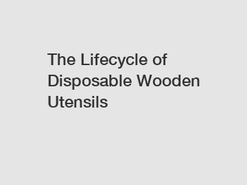 The Lifecycle of Disposable Wooden Utensils
